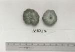 Click for 1 image(s) for this accession. FRUIT